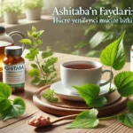 Ashitaba’nın Faydaları: Hücre Yenileyici Mucize Bitki