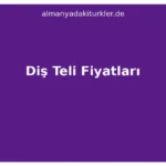 Almanyada Diş Teli Fiyatları 2026: Sigorta Karşılarsa?