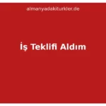 Almanyadan İş Teklifi Aldım Ne Yapmalıyım? 2026 Rehberi