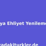 Almanya Ehliyet Yenileme 2026 | Türkçe Rehber ve Başvuru Süreci